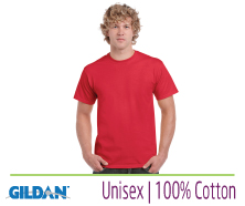 Gildan Heavy T